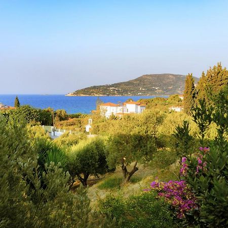 Samos Island Kedros Hotel المظهر الخارجي الصورة