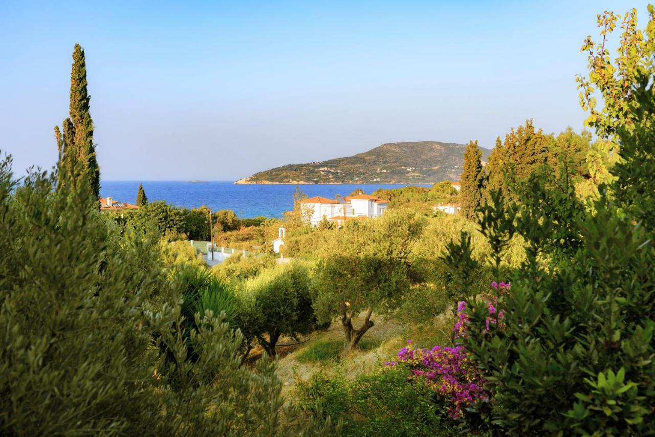 Samos Island Kedros Hotel المظهر الخارجي الصورة
